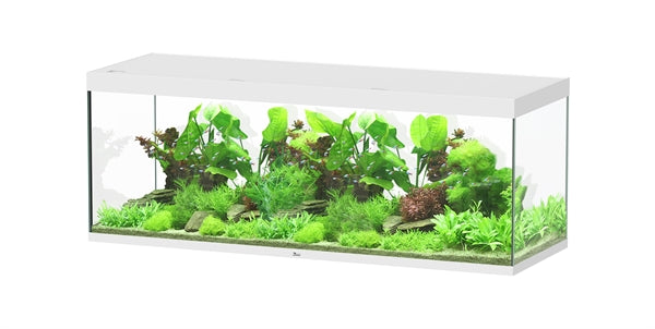 Aquatlantis Aquarium Sublime Ultra 200 x 70 blanc + 2 x biobox 3