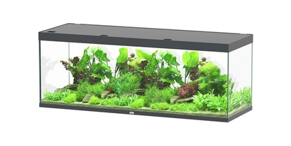 Aquatlantis Aquarium Sublime Ultra 200 x 70 anthracite + 2 x biobox 3