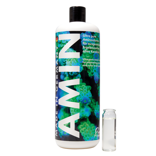 Fauna marin Amin 1l