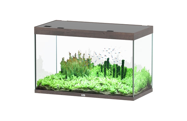 Aquatlantis Aquarium Sublime Ultra 120 x 60 brun foncé + biobox 3