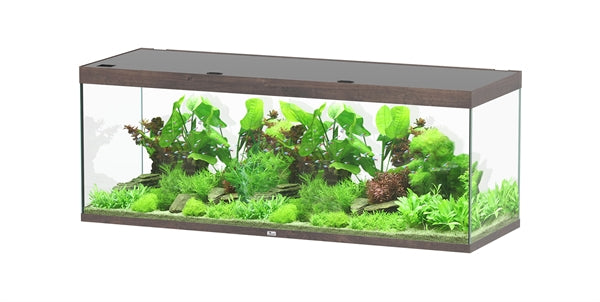 Aquatlantis Aquarium Sublime Ultra 200 x 70 brun foncé + 2 x biobox 3