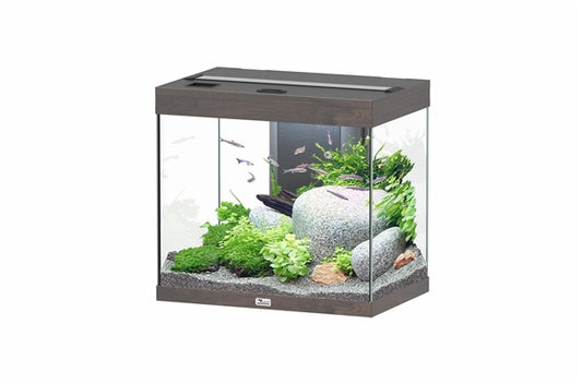 Aquatlantis Aquarium splendid Ultra 60 brun foncé + biobox