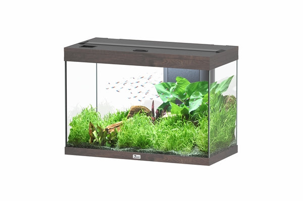 Aquatlantis Aquarium splendid Ultra 80 brun foncé + biobox