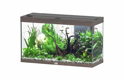 Aquatlantis Aquarium splendid Ultra 100 brun foncé + biobox