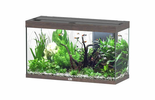 Aquatlantis Aquarium splendid Ultra 100 brun foncé + biobox