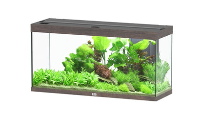 Aquatlantis Aquarium splendid Ultra 120 brun foncé + biobox