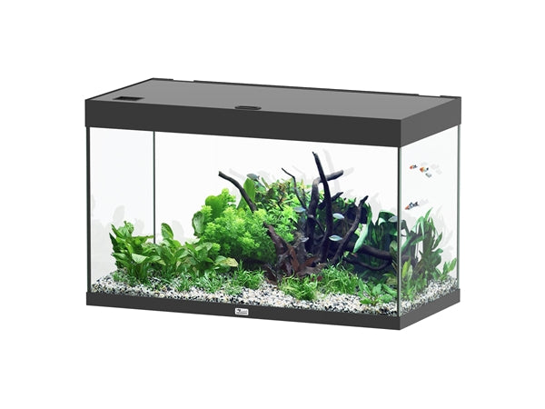 Aquatlantis Aquarium Sublime Ultra 100 x 50 noir + biobox 3