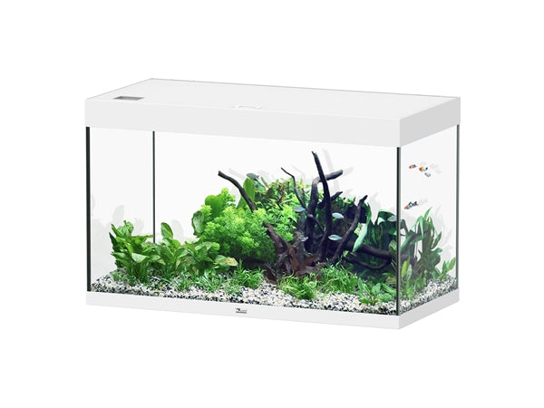 Aquatlantis Aquarium Sublime Ultra 100 x 50 blanc + biobox 3