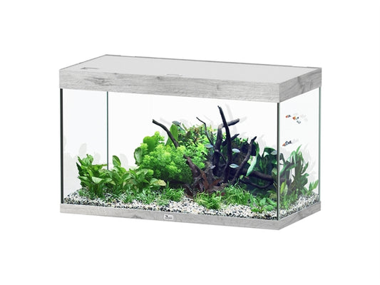 Aquatlantis Aquarium Sublime Ultra 100 x 50 chêne blanchi + biobox 3