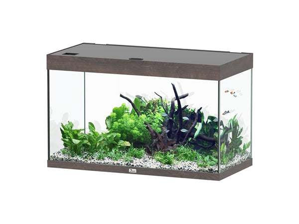 Aquatlantis Aquarium Sublime Ultra 100 x 50 brun foncé + biobox 3