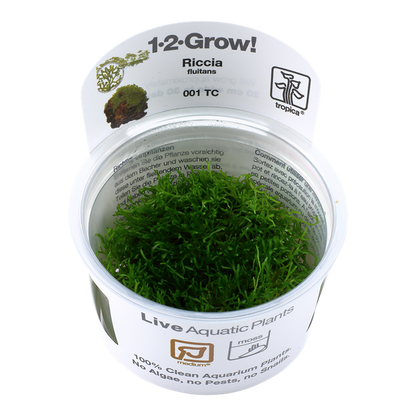 Tropica Riccia fluitans