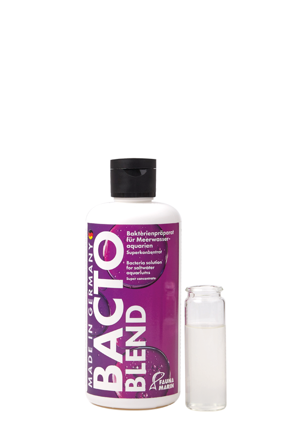 fauna marin bacto reef blend 250ml