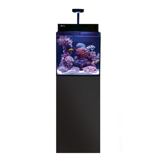 Red Sea Max® Nano Cube G2 (aqua + meuble) - Noir