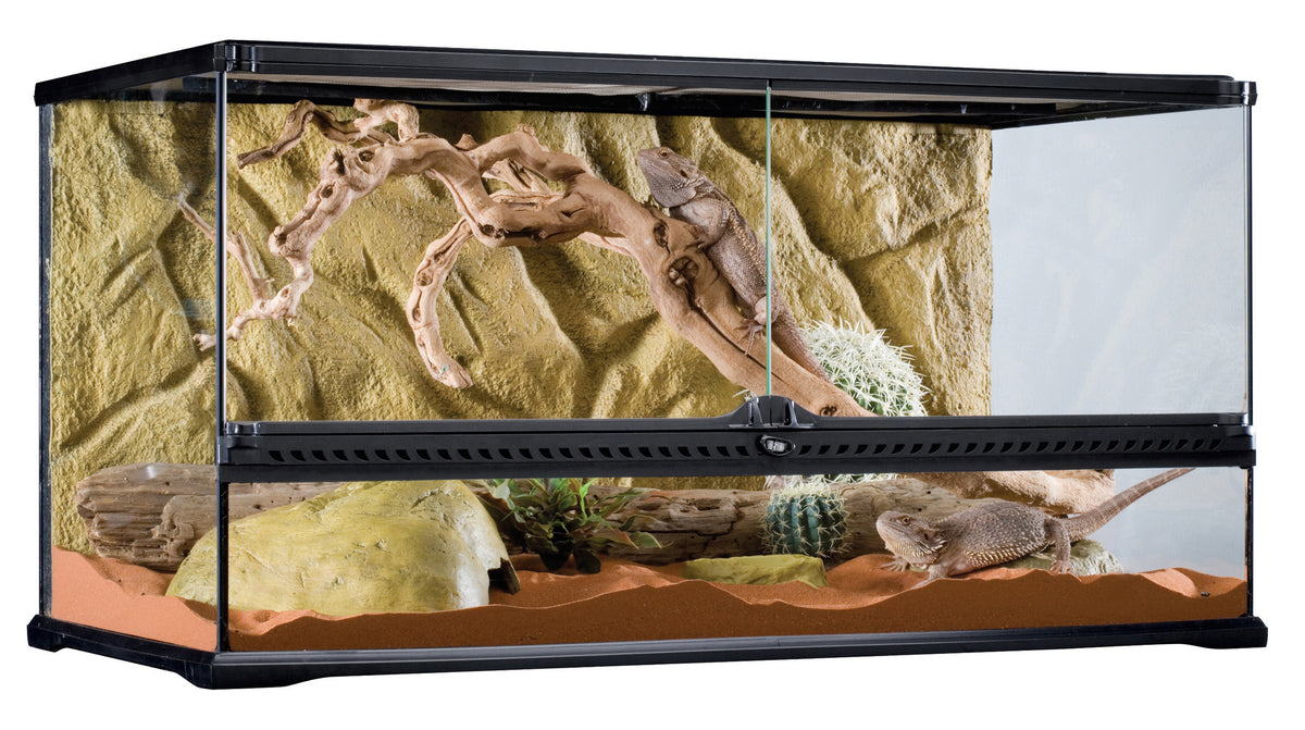Exo Terra Terrarium arrière-plan inclus 90x45x30