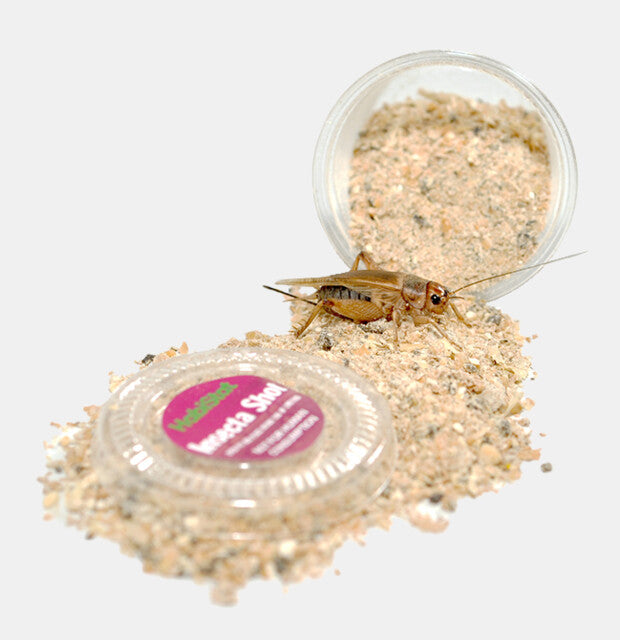 Shot d'insecte Habistat 2