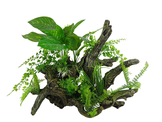 aquascape 1