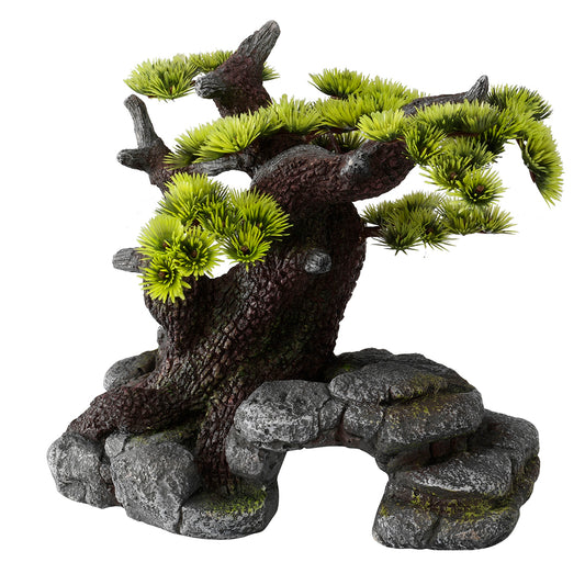 BONSAI