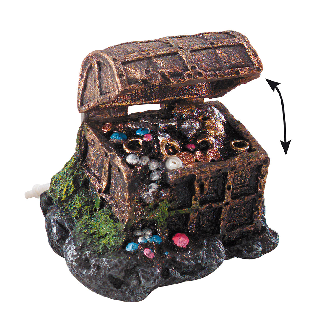 Treasure case