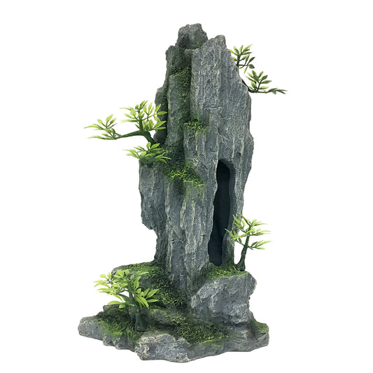 HIGH ROCK 1