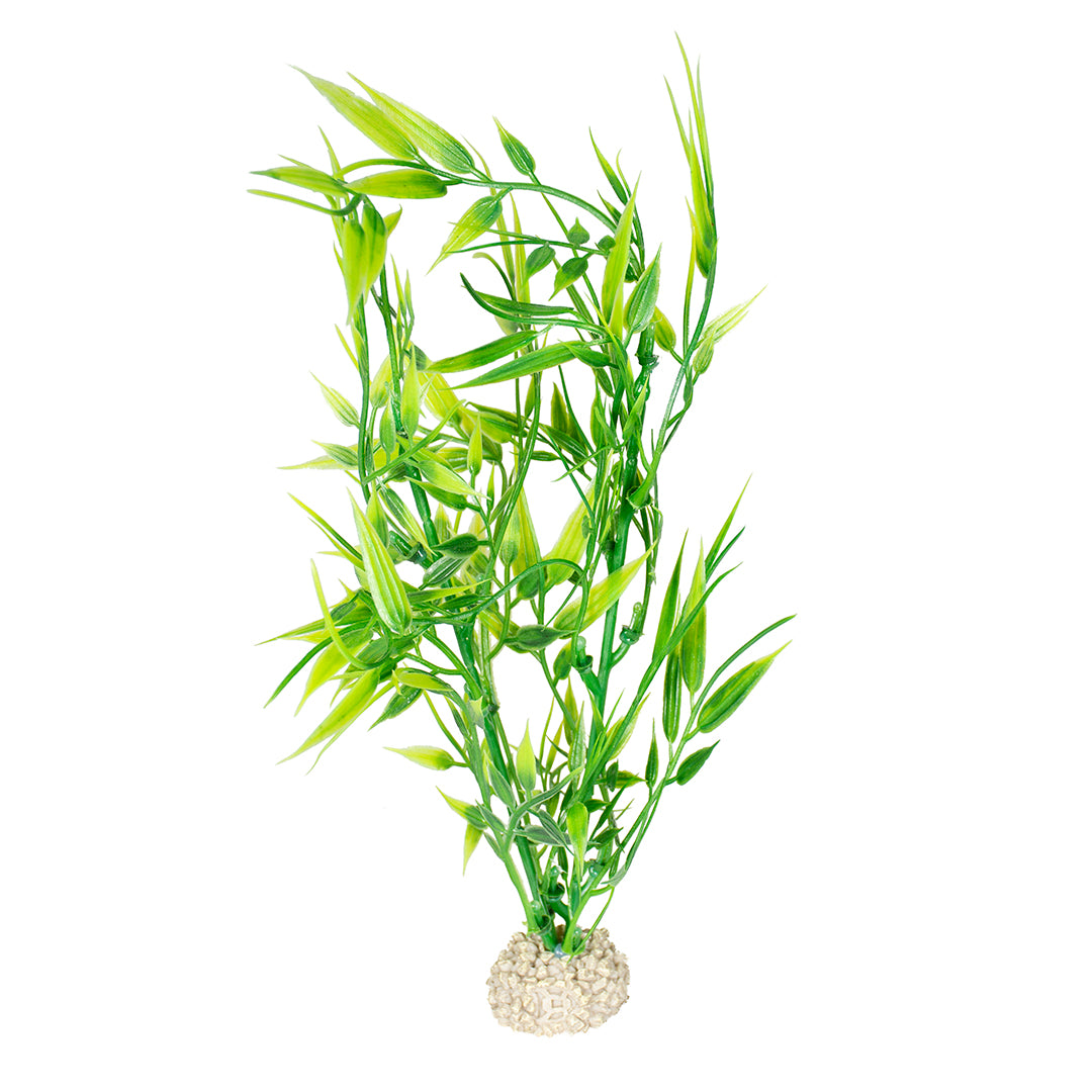 PLANTE BAMBOO vert