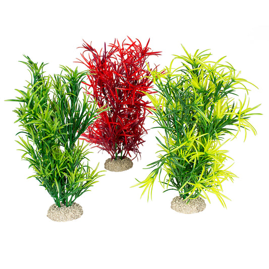 PLANTE HYDRILLA couleurs mélangées