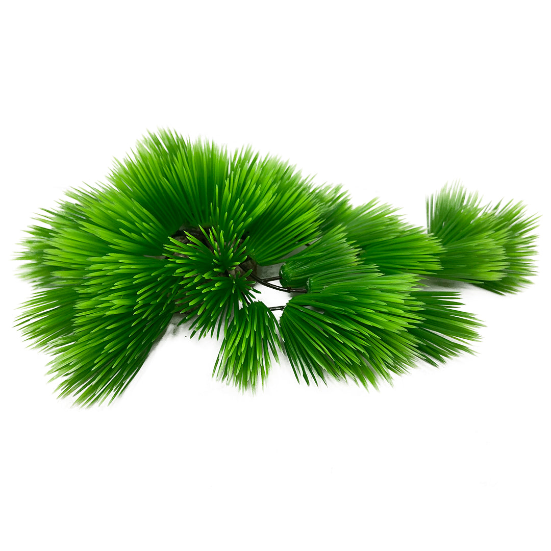 Eleocharis vert 22 cm