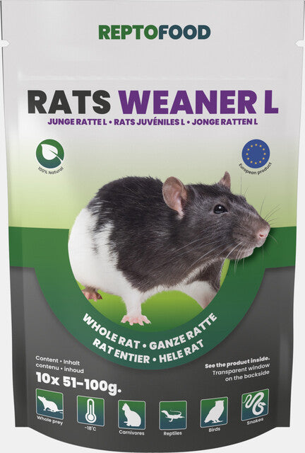 REPTO RATS JUVÉNILES L 51-100G 10PCS