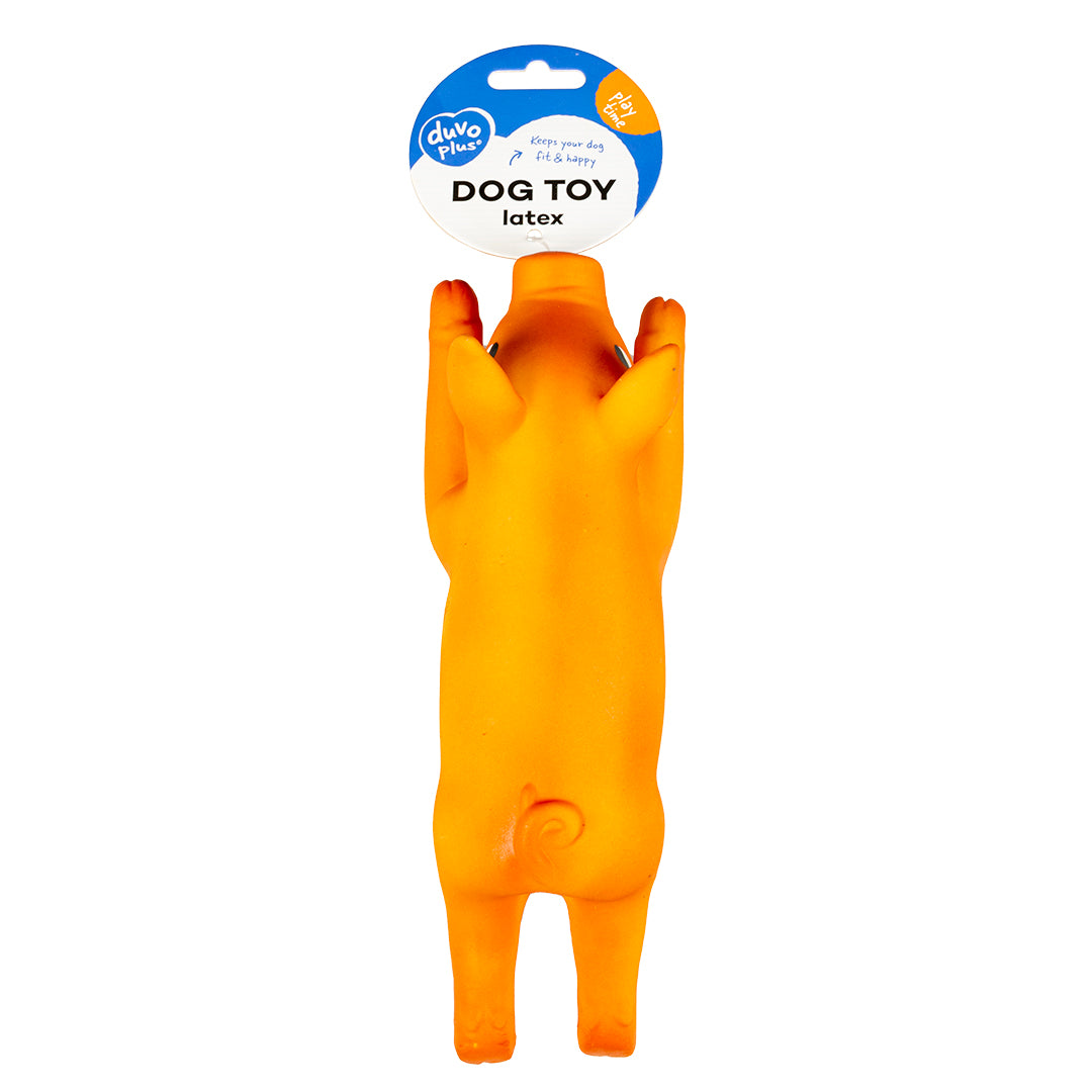 Latex squeaking cochon 2