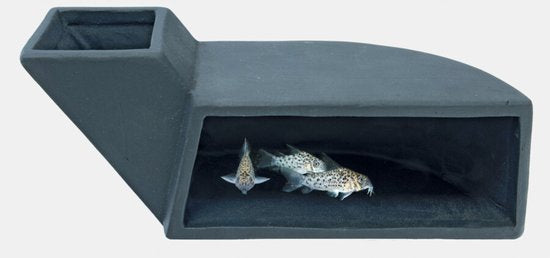 Fish Cave M