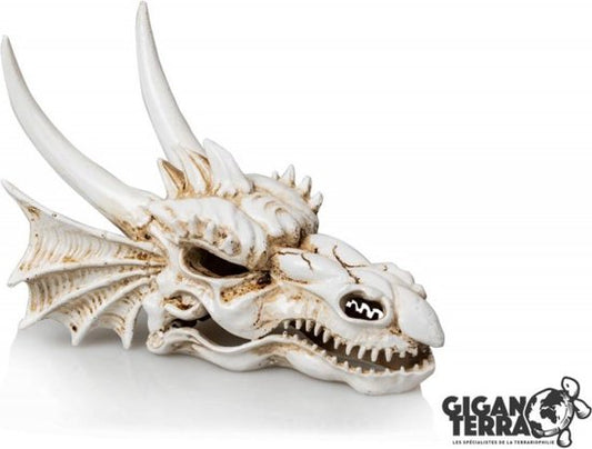 Dragon Giganaqua