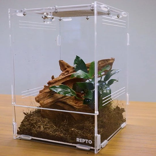 Repto Terra Clear 19,5x18,5x29