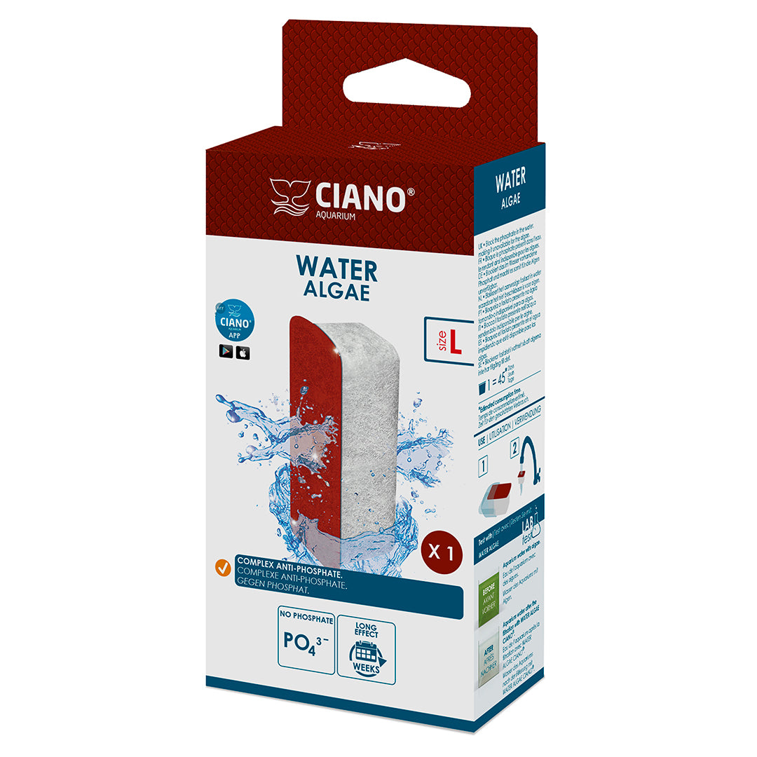 Water Algae L