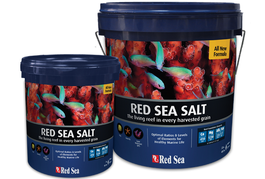 Red Sea Sea salt seau 7kg