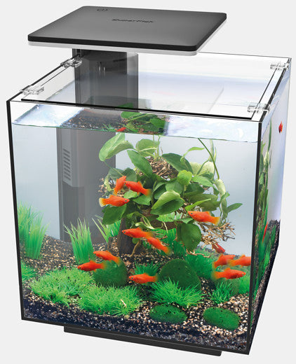Superfish qubiq 30 pro noir