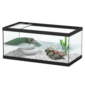 tortum 55 noir