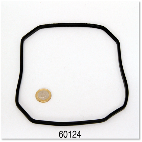 JBL CP Joint tête de pompe e15/1900/1,2