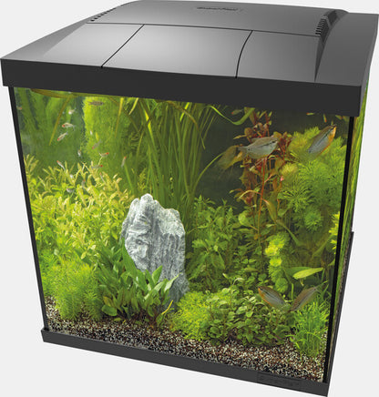 Superfish Start 60 Qube Kit noir 2