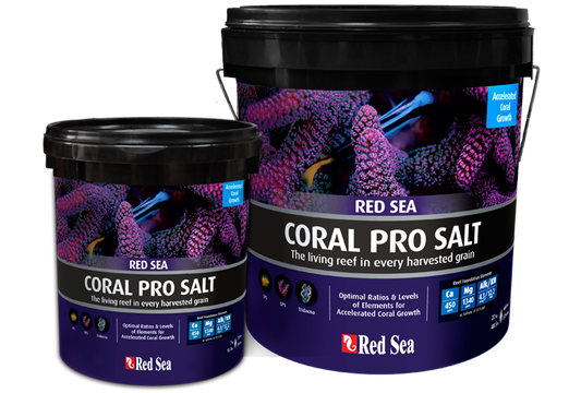 Red Sea Coral pro salt seau 7kg