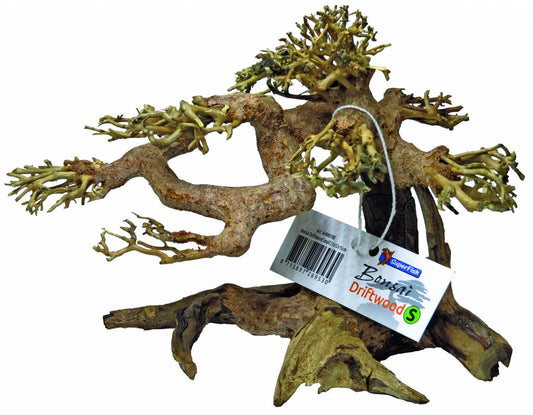 Superfish bonzai driftwood S