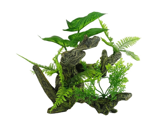 aquascape 3
