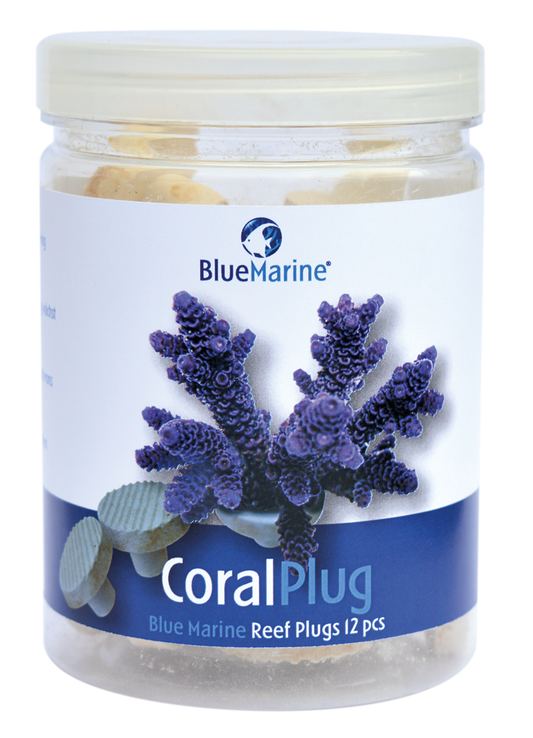 Blue Marine coral plug 24pcs