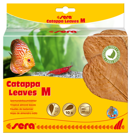 Sera Catappa M