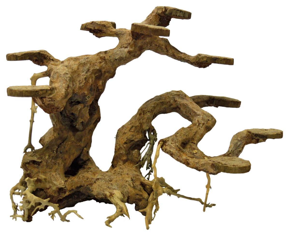 bonzai planter M