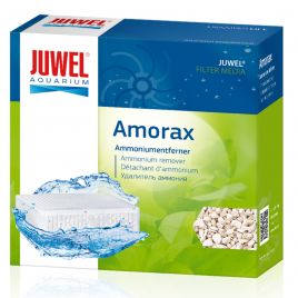 juwel amorax L