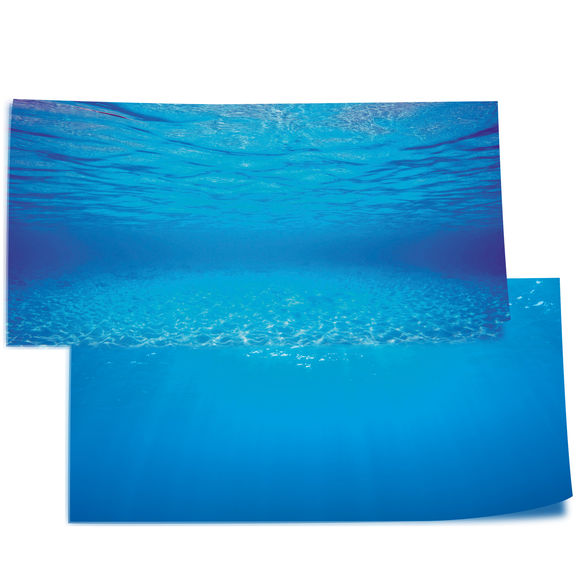 juwel poster 2 L/100x50cm
