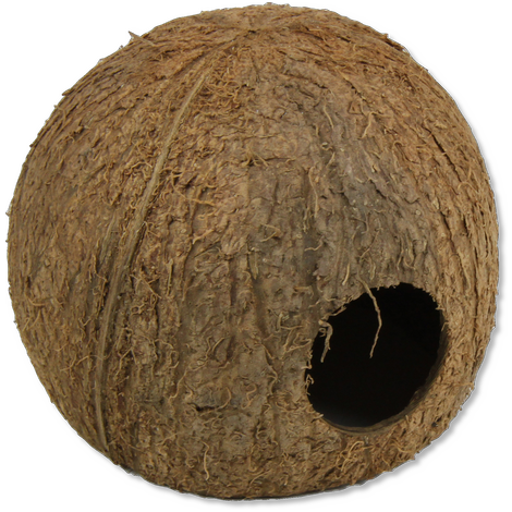 JBL Cocos Cava 3/4