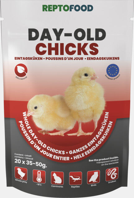 REPTO POUSSINS D'UN JOUR 20 PCS
