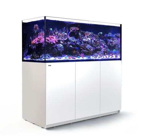 Red Sea Reefer 625 G3+ Blanc (Aqua + mbl)