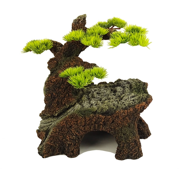 bonzai 2