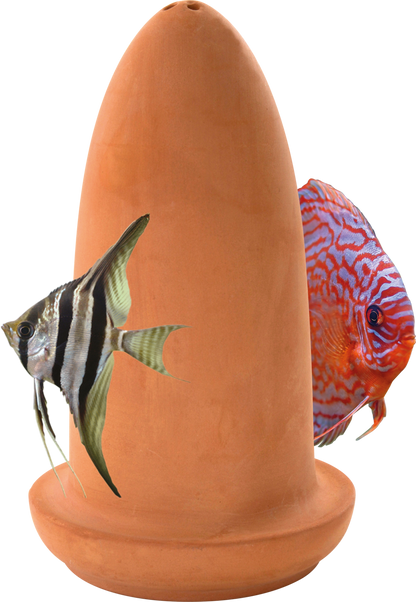 Superfish cône de reproduction 2